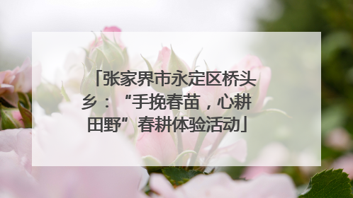 张家界市永定区桥头乡：“手挽春苗，心耕田野”春耕体验活动