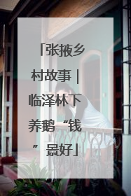张掖乡村故事｜临泽林下养鹅“钱”景好