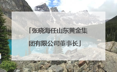 张晓海任山东黄金集团有限公司董事长
