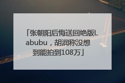 张朝阳后悔送回绝版Labubu，胡润称没想到能拍到108万