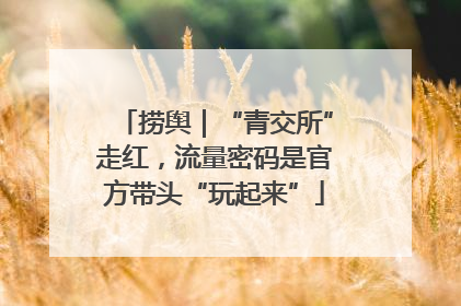 捞舆｜“青交所”走红，流量密码是官方带头“玩起来”