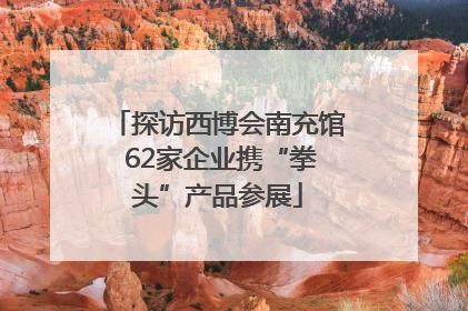 探访西博会南充馆 62家企业携“拳头”产品参展