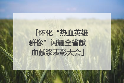 怀化“热血英雄群像”闪耀全省献血献浆表彰大会