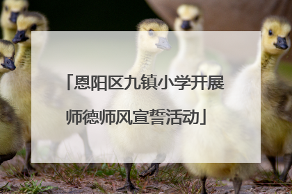 恩阳区九镇小学开展师德师风宣誓活动