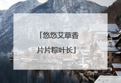 悠悠艾草香 片片粽叶长