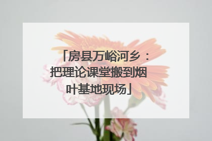 房县万峪河乡：把理论课堂搬到烟叶基地现场