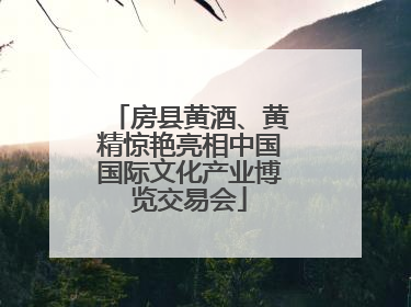 房县黄酒、黄精惊艳亮相中国国际文化产业博览交易会