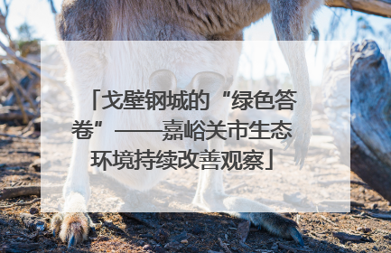 戈壁钢城的“绿色答卷”——嘉峪关市生态环境持续改善观察