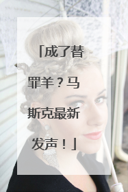 成了替罪羊？马斯克最新发声！