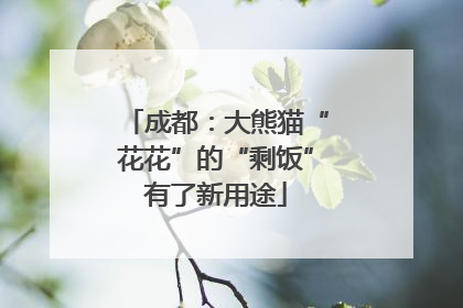 成都：大熊猫“花花”的“剩饭”有了新用途
