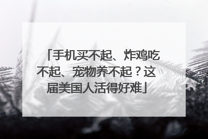 手机买不起、炸鸡吃不起、宠物养不起？这届美国人活得好难