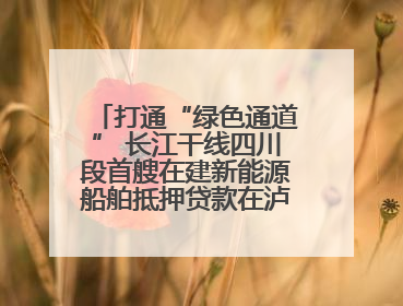 打通“绿色通道” 长江干线四川段首艘在建新能源船舶抵押贷款在泸州落地