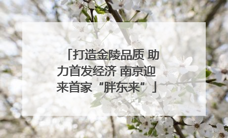 打造金陵品质 助力首发经济 南京迎来首家“胖东来”