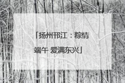 扬州邗江：粽情端午 爱满东兴