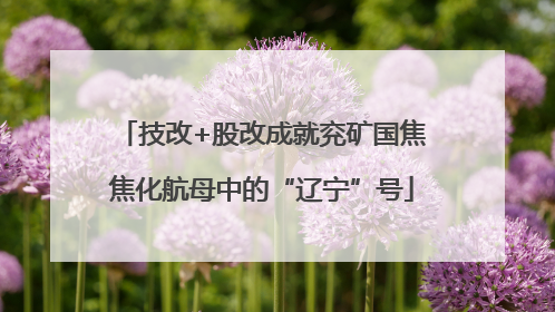 技改+股改成就兖矿国焦焦化航母中的“辽宁”号