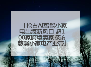 抢占AI智能小家电出海新风口 超100家跨境卖家探访慈溪小家电产业带