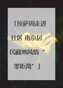 拉萨周走进社区 南京居民藏地风情“零距离”