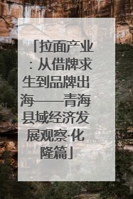 拉面产业：从借牌求生到品牌出海——青海县域经济发展观察·化隆篇