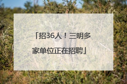 招36人！三明多家单位正在招聘