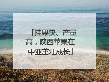 挂果快、产量高，陕西苹果在中亚茁壮成长
