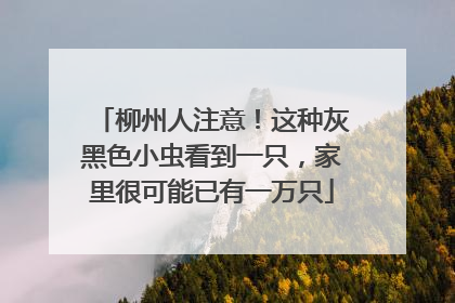柳州人注意！这种灰黑色小虫看到一只，家里很可能已有一万只
