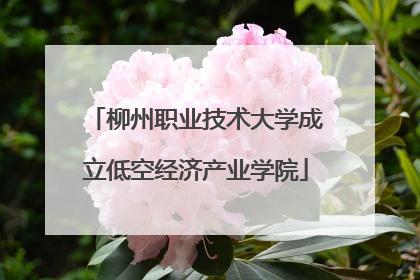 柳州职业技术大学成立低空经济产业学院