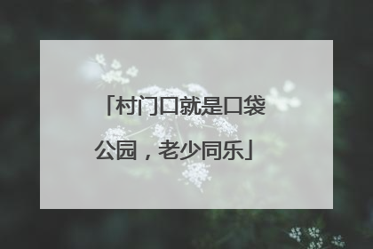 村门口就是口袋公园，老少同乐