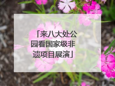 来八大处公园看国家级非遗项目展演