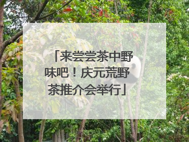 来尝尝茶中野味吧！庆元荒野茶推介会举行