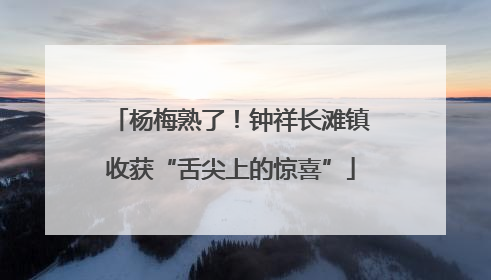 杨梅熟了！钟祥长滩镇收获“舌尖上的惊喜”