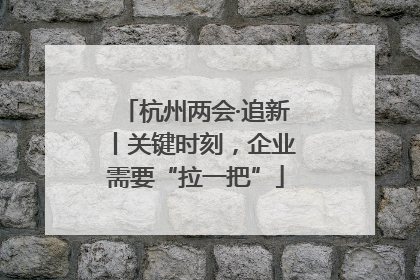 杭州两会·追新丨关键时刻，企业需要“拉一把”