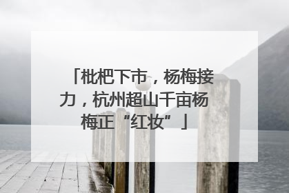 枇杷下市，杨梅接力，杭州超山千亩杨梅正“红妆”