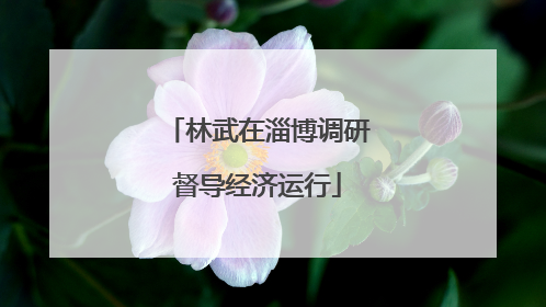 林武在淄博调研督导经济运行