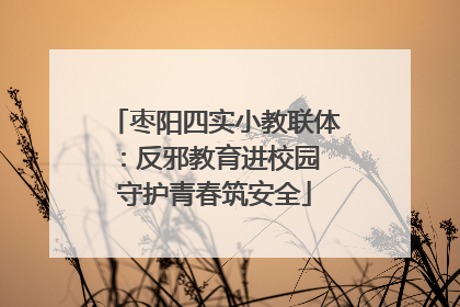 枣阳四实小教联体：反邪教育进校园 守护青春筑安全