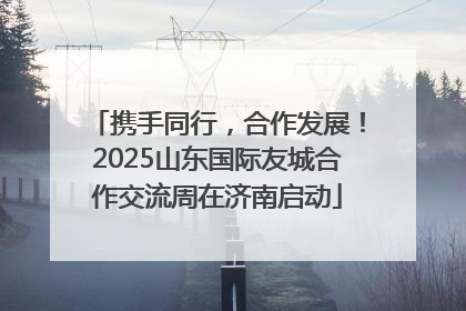 携手同行，合作发展！2025山东国际友城合作交流周在济南启动