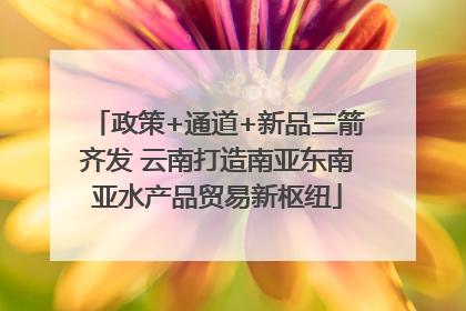 政策+通道+新品三箭齐发 云南打造南亚东南亚水产品贸易新枢纽