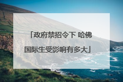 政府禁招令下 哈佛国际生受影响有多大