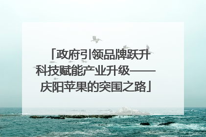 政府引领品牌跃升 科技赋能产业升级——庆阳苹果的突围之路