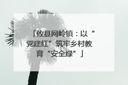 攸县网岭镇：以“党建红”筑牢乡村教育“安全绿”