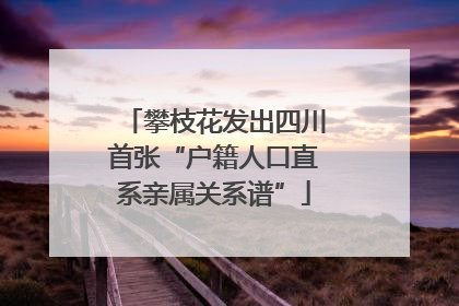 攀枝花发出四川首张“户籍人口直系亲属关系谱”