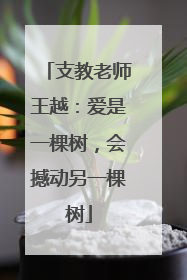 支教老师王越：爱是一棵树，会撼动另一棵树