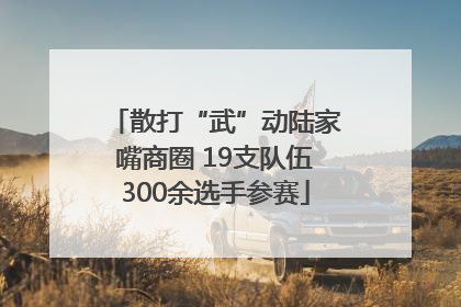 散打“武”动陆家嘴商圈 19支队伍300余选手参赛