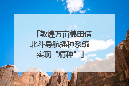 敦煌万亩棉田借北斗导航播种系统实现“精种”