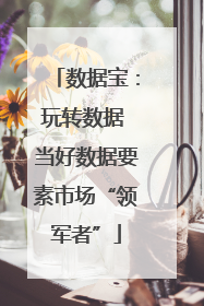 数据宝：玩转数据 当好数据要素市场“领军者”