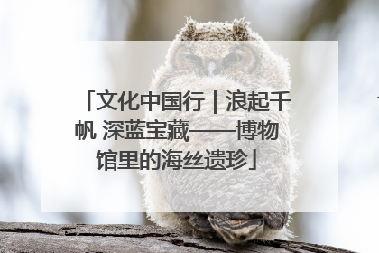 文化中国行｜浪起千帆 深蓝宝藏——博物馆里的海丝遗珍