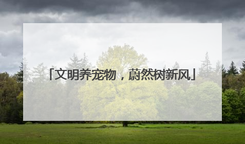文明养宠物，蔚然树新风
