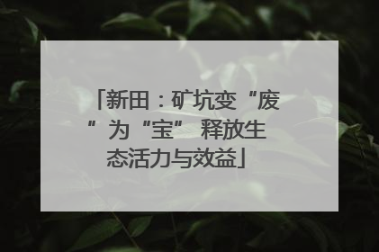 新田：矿坑变“废”为“宝” 释放生态活力与效益