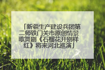 新疆生产建设兵团第二师铁门关市原创情景歌舞剧《石榴花开别样红》将来河北巡演