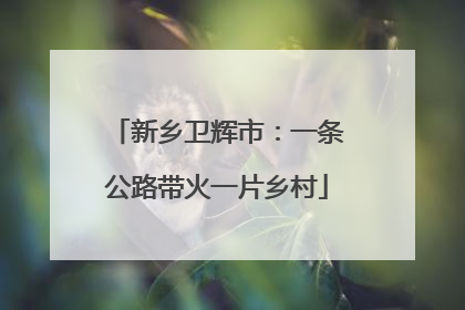 新乡卫辉市：一条公路带火一片乡村