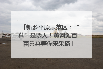新乡平原示范区：“葚”是诱人！黄河滩百亩桑葚等你来采摘